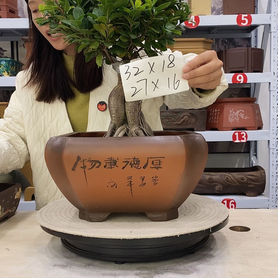 紫砂花盆紫砂花盆