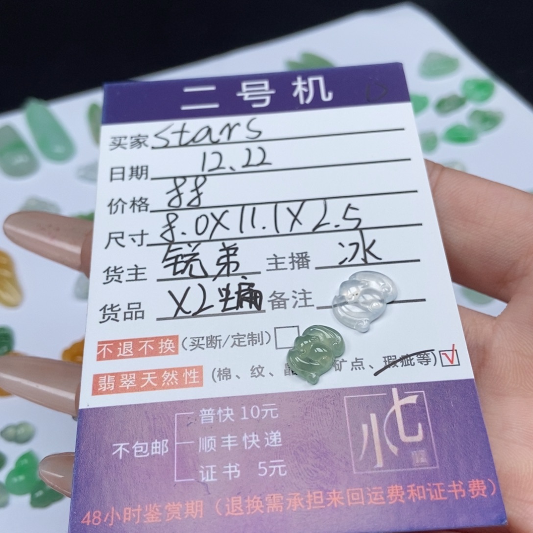 S*** 翡翠未镶嵌颈饰翡翠