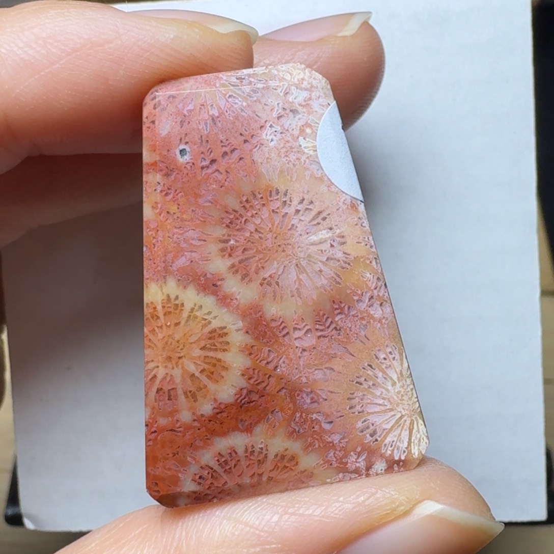 硅化玉红花和粉皮花未镶嵌