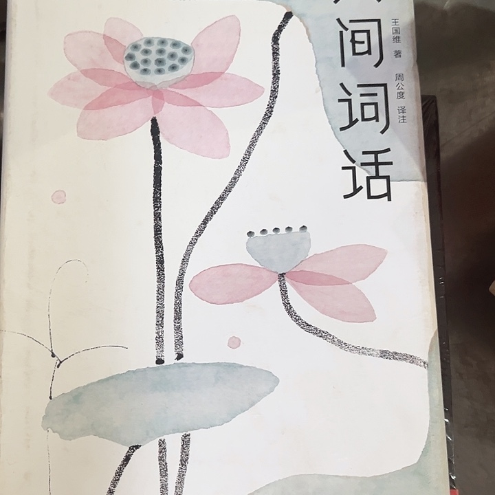 人间词话全新精装