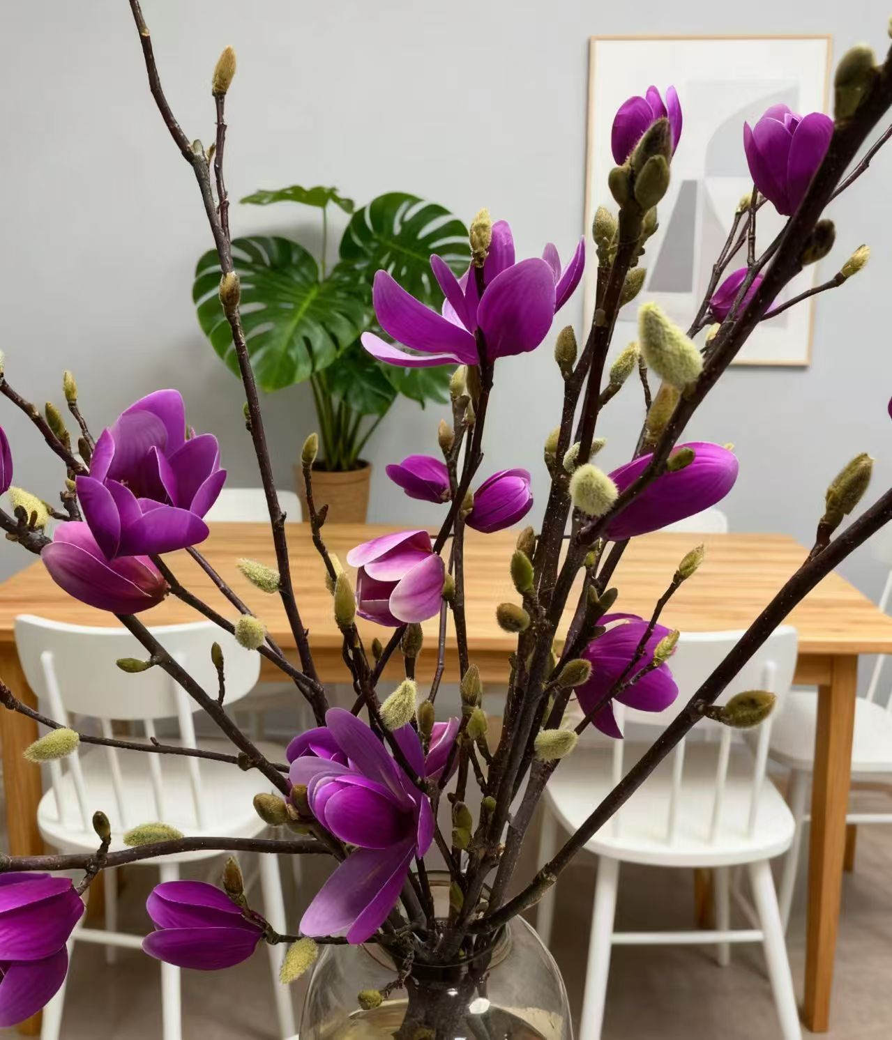 【紫色水培玉兰鲜切枝】带花苞室内外浓香耐寒花卉绿植懒人好养活