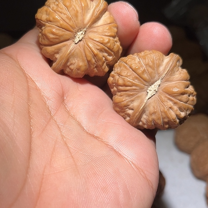 z***n木41南瓜敦。        