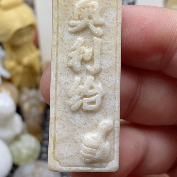 颈饰未镶嵌硅化珊瑚（珊瑚玉）