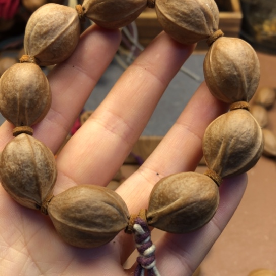 橄榄核手串/手链劉*.2026，88888