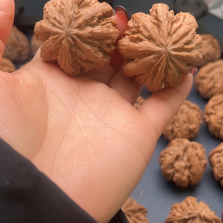 刚***好龙脊菩提把件秦岭核桃