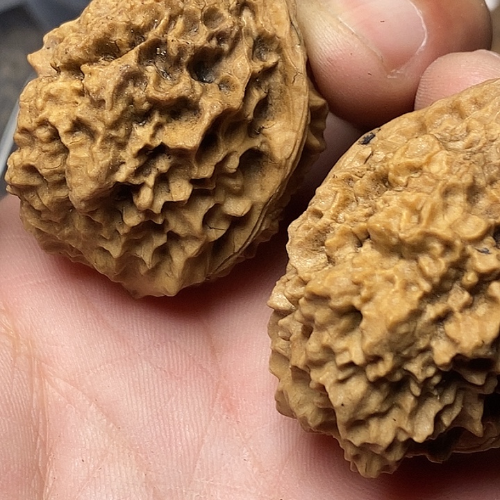 把件文玩核桃云南铁核桃