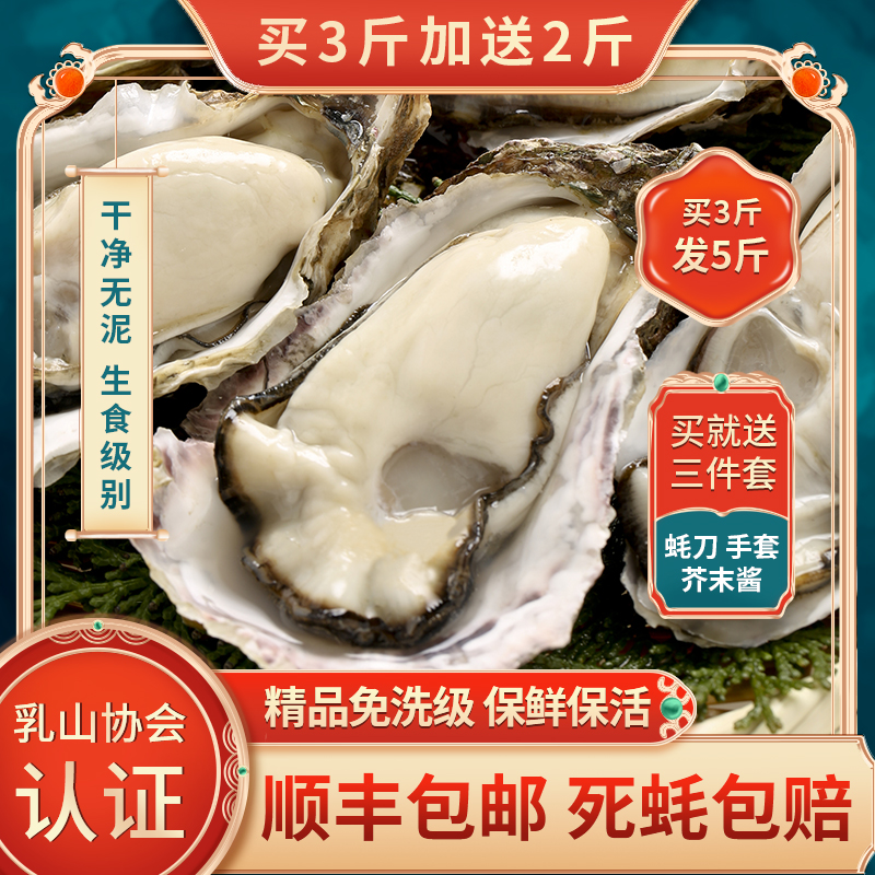 【买3斤送2斤】正宗乳山特大牡蛎鲜活生蚝5斤试吃装顺丰包邮