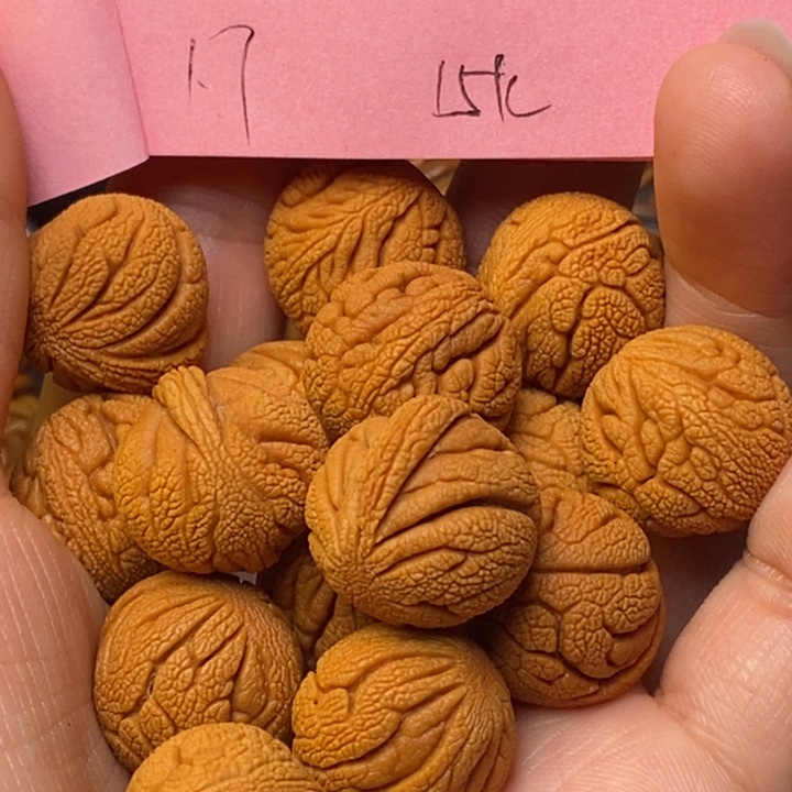 吊坠桃核秦岭龙纹桃核17尺寸