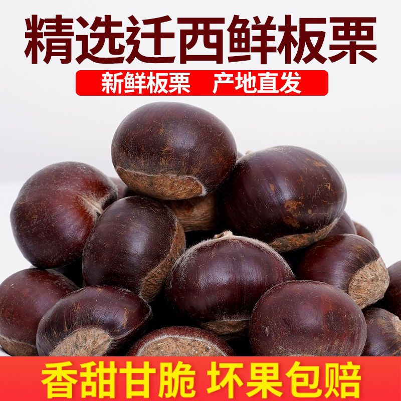 【老树中果】正宗迁西板栗京东板栗燕山板栗油栗子坏果包赔
