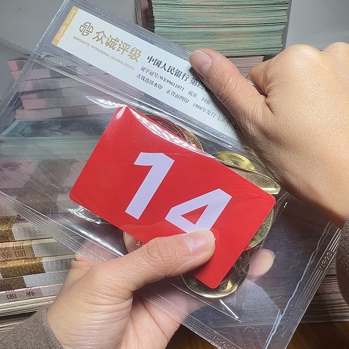 退市像章10个如图图