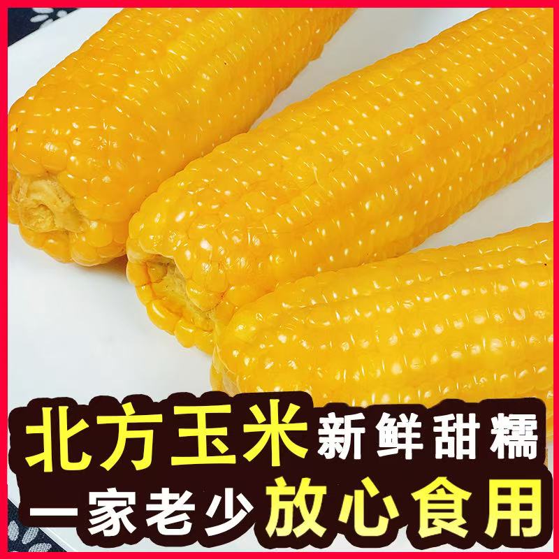 K福利 黄糯玉米香甜软糯真空包装整箱5斤8-10根