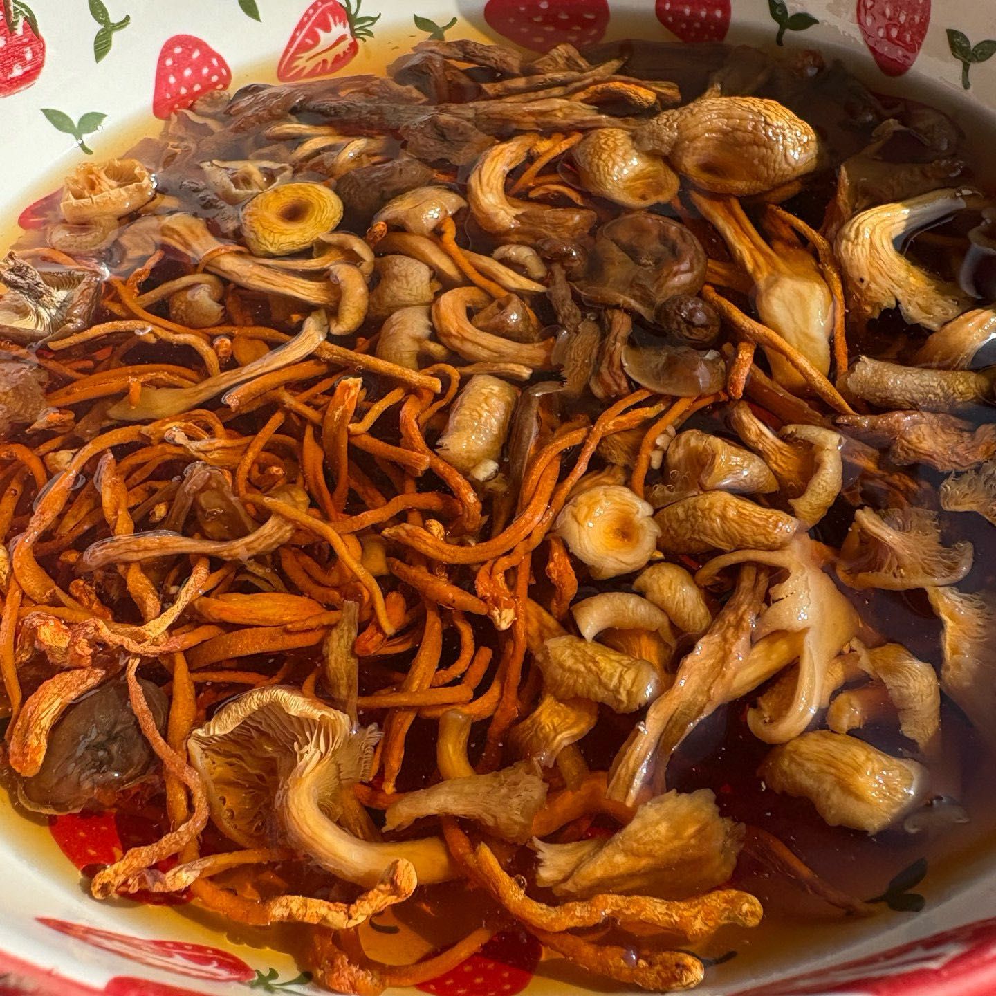 西域美农菌菇包菌汤包炖鸡汤火锅鹿茸菇30g*5袋/10袋