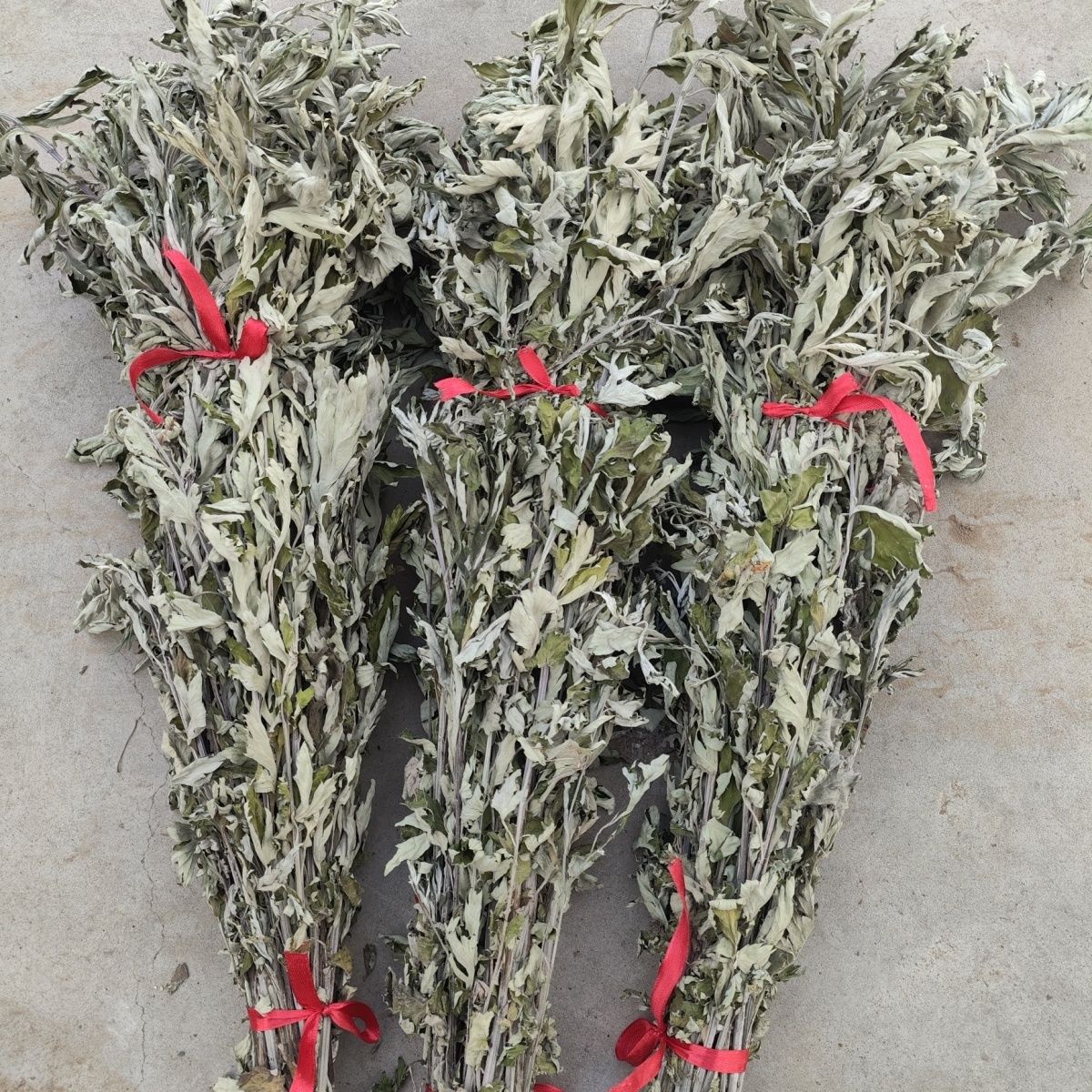 重庆山区野生艾草泡脚家用带杆艾叶草端午艾蒿坐月子孕妇泡脚泡澡