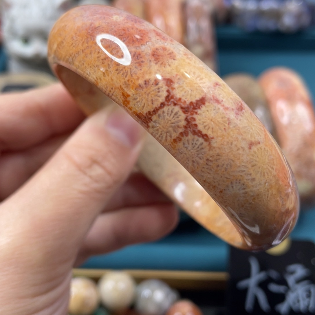 未镶嵌手镯硅化玉