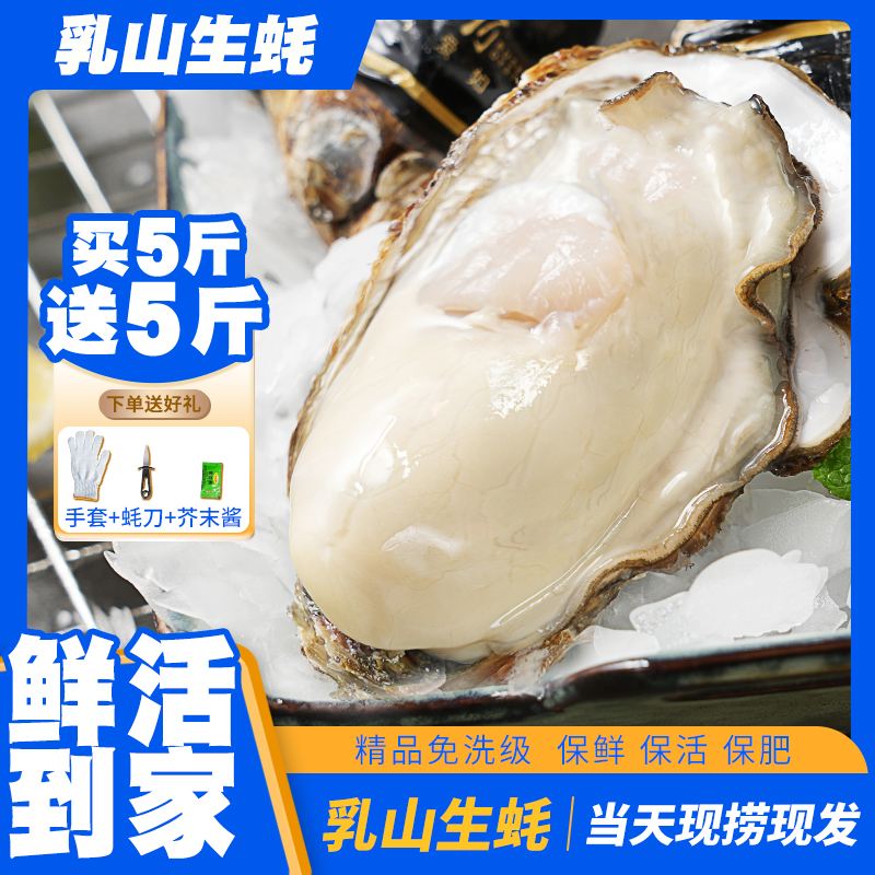【巨无霸7XL】正宗乳山生蚝牡蛎新鲜原产地海鲜精品级爆款团购10斤