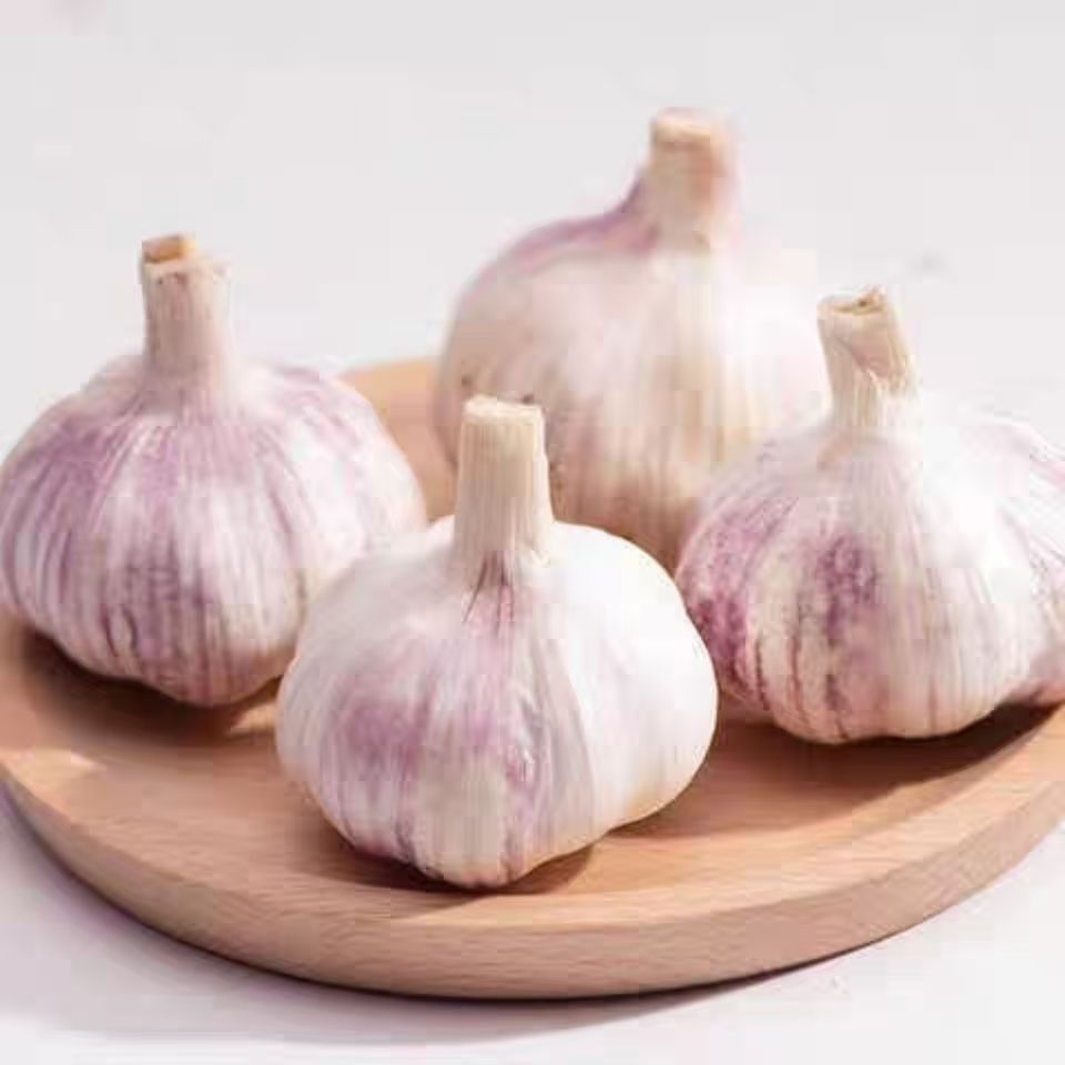 2025头茬山东紫皮大蒜紫白皮多瓣干蒜可腌制腊八蒜咸蒜