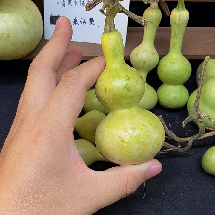 余****寒长嘴哈哈哈哈哈哈哈哈哈哈哈哈太