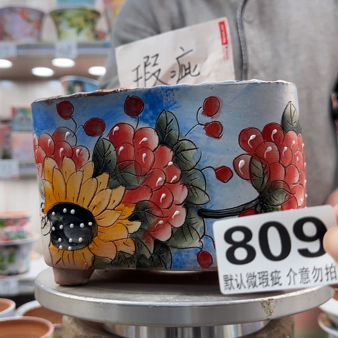 瑕疵瑕疵瑕疵瑕疵809