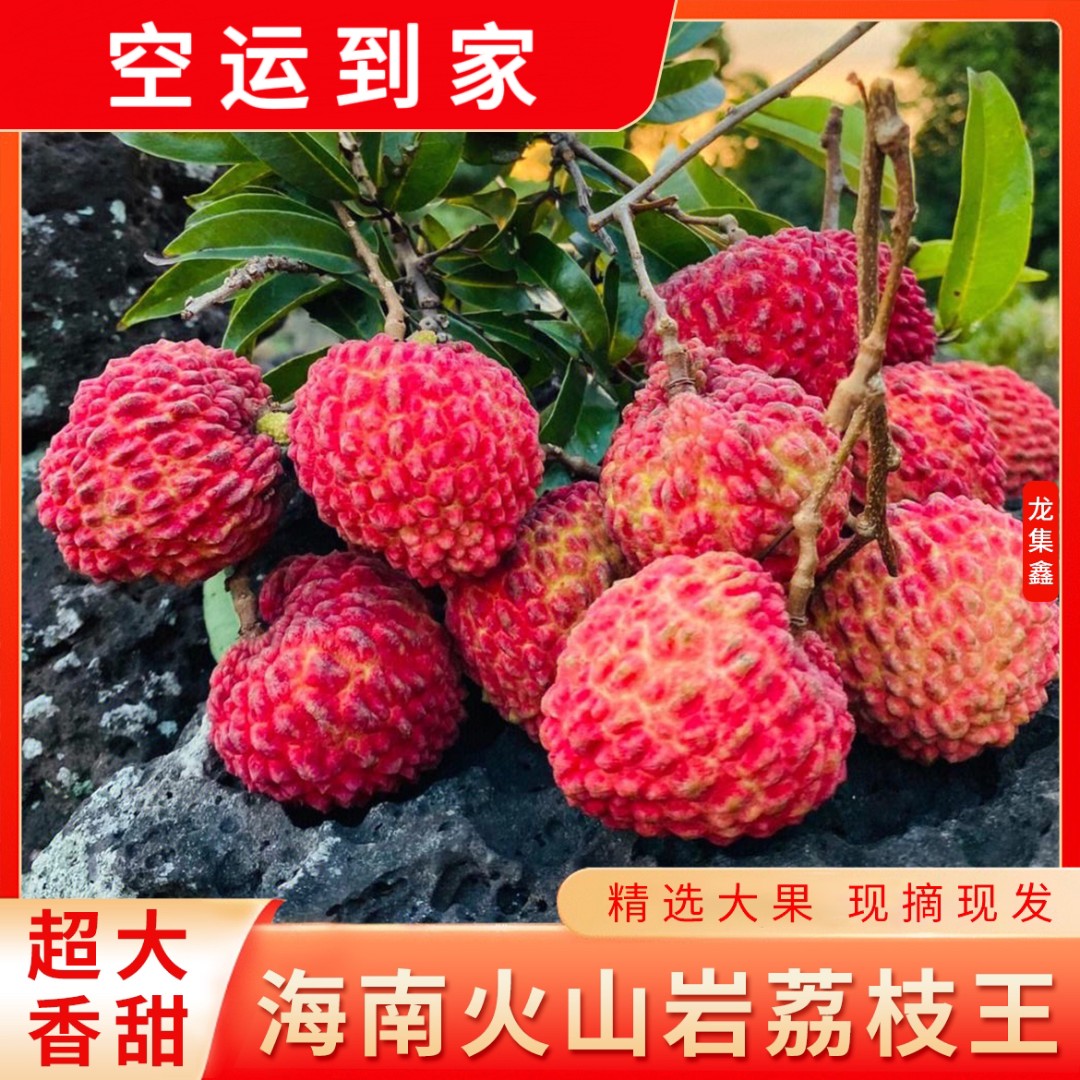 【龙龙爆品荔枝王】空运到家不泡水干爽发货现摘现发3斤/4.5斤/8斤