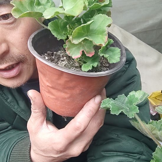 用***8完全开放浪漫，，，，，，