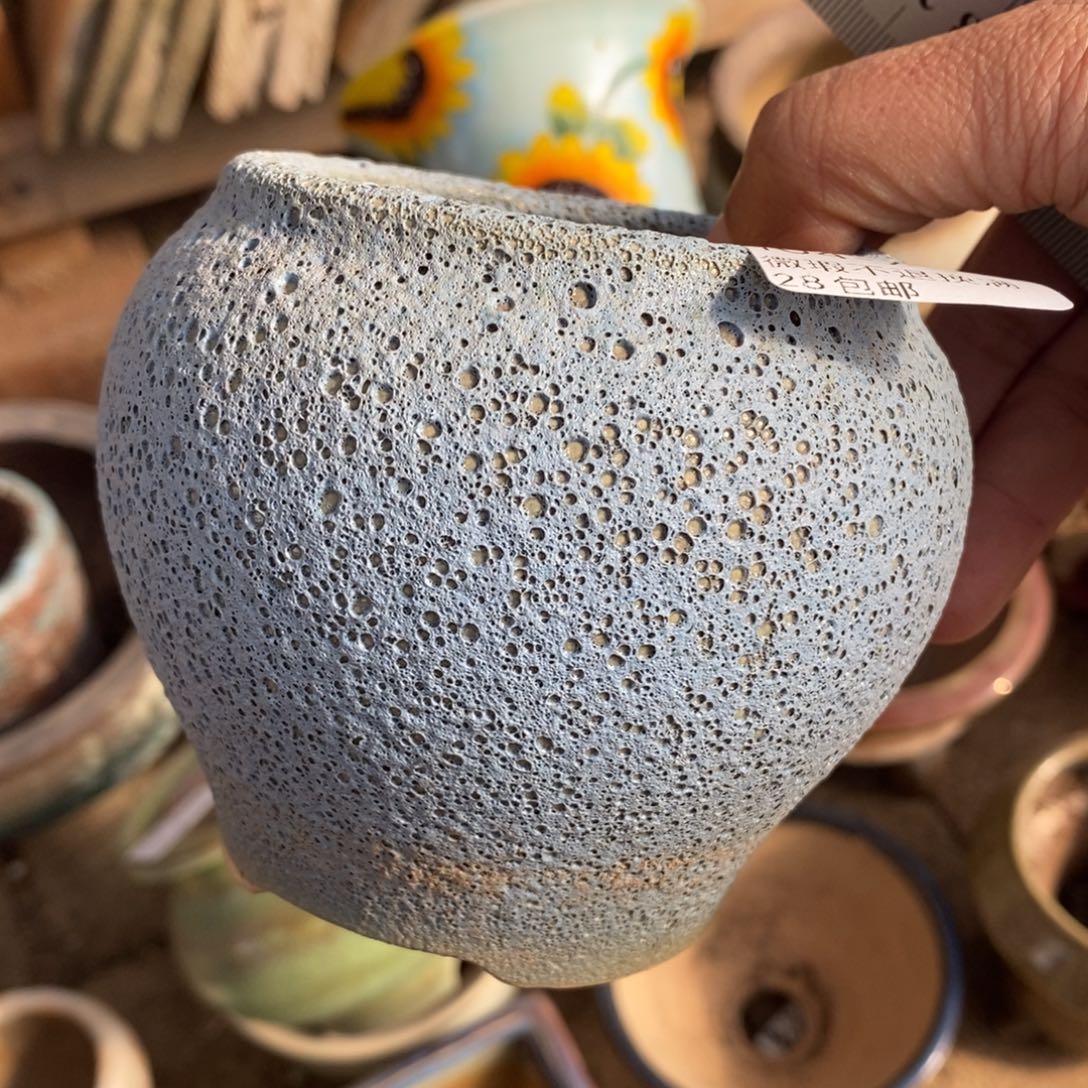 7号多肉盆口径7小可爱