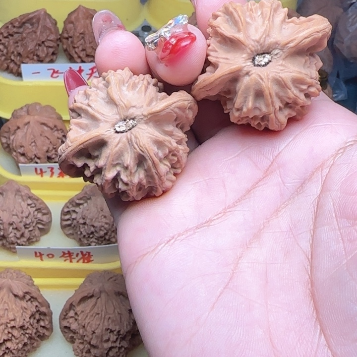 征***途玩玩核桃大耳朵图图弯弯核桃