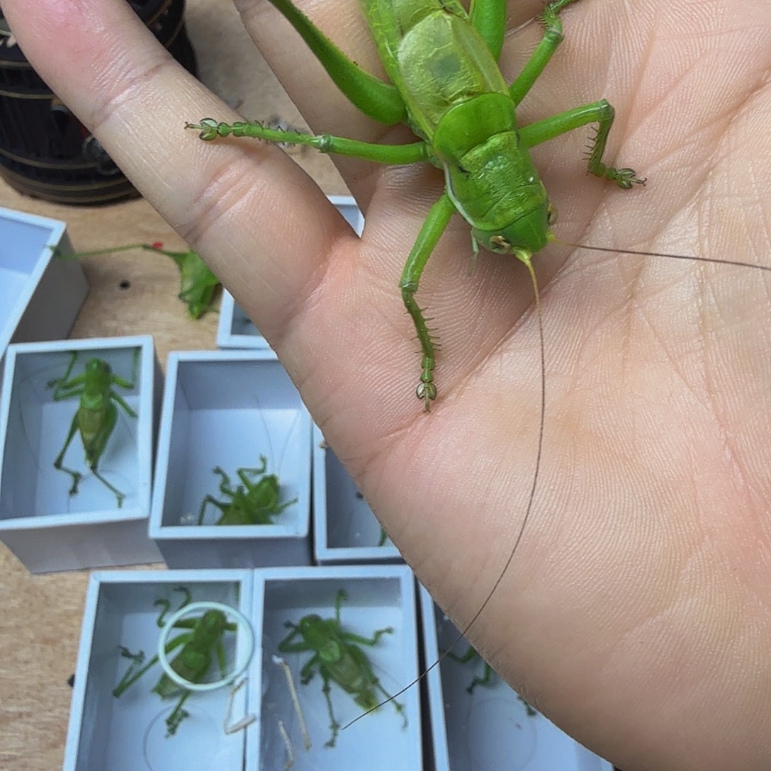 知***己哥哈哈哈哈哈哈哈哈哈哈哈