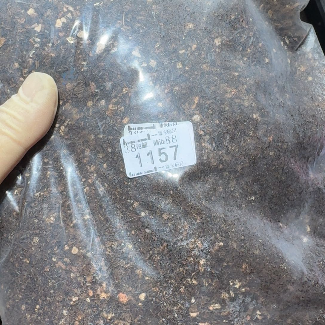 Zzz冬天真便宜啊1157