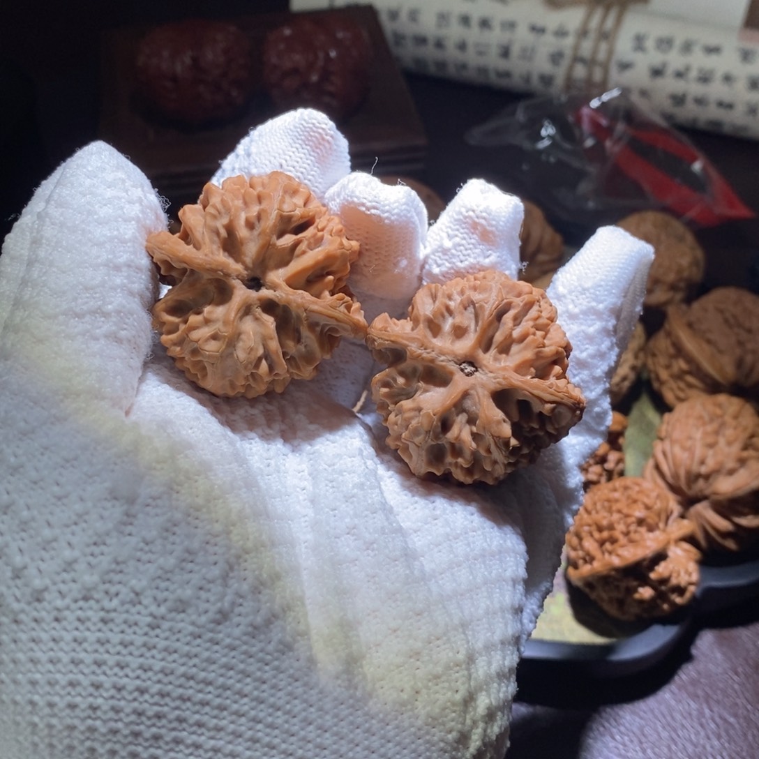 41全品苹果园主筋正