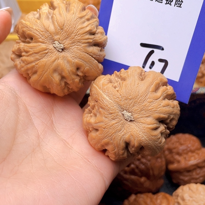 把件文玩核桃小**儿文玩核桃霸王龙17