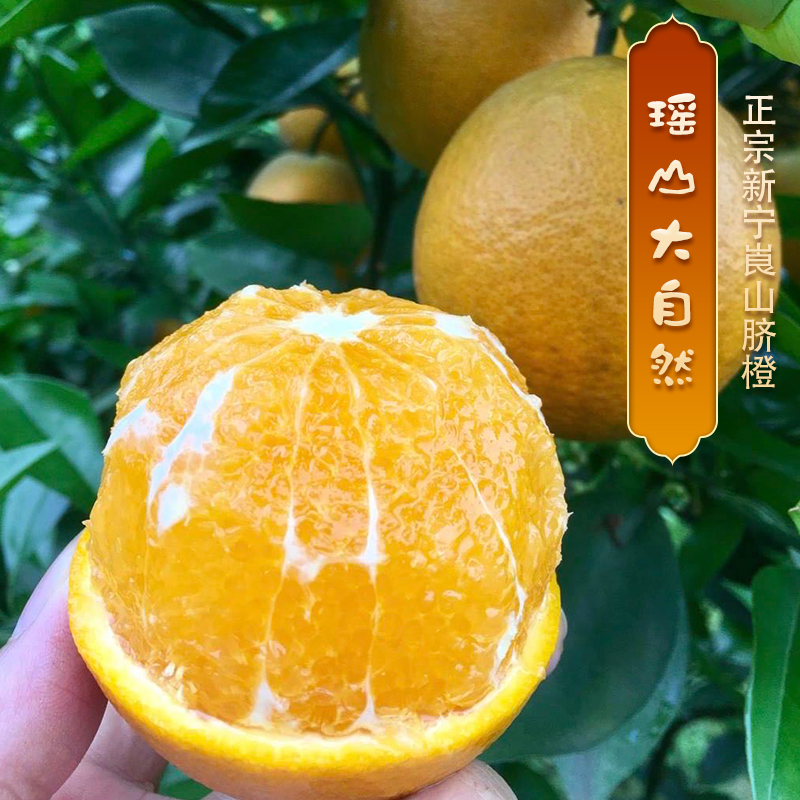 【崀山脐橙】湖南新宁纽荷尔黄心橙新鲜采摘水嫩多汁当季水果橙子