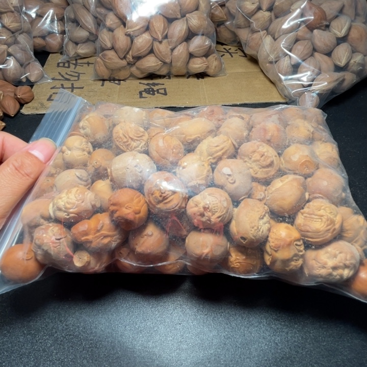 贼***道猪牙手串/手链我是