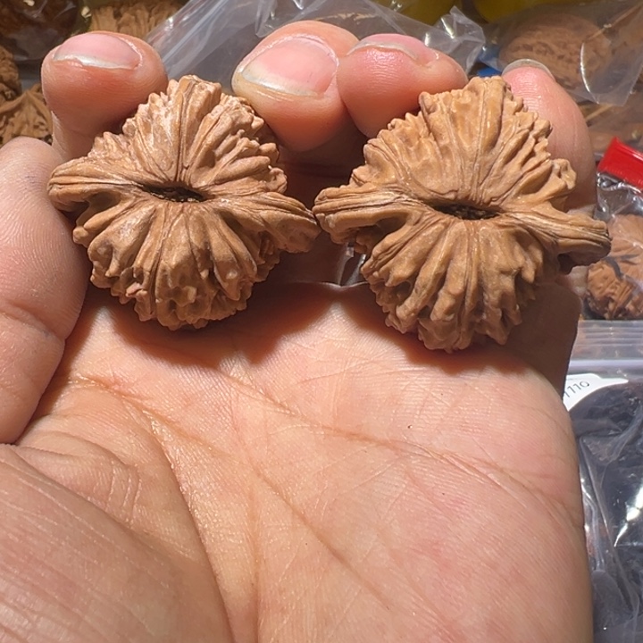 吳***道核桃全品无修蓟县四座楼