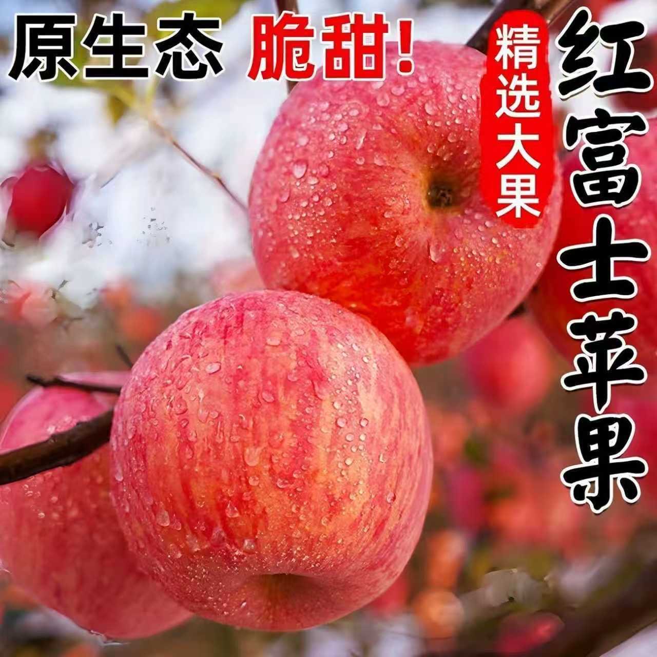 【2025今年新果】正宗陕西头茬洛川红富士苹果特级大果脆甜新鲜水果