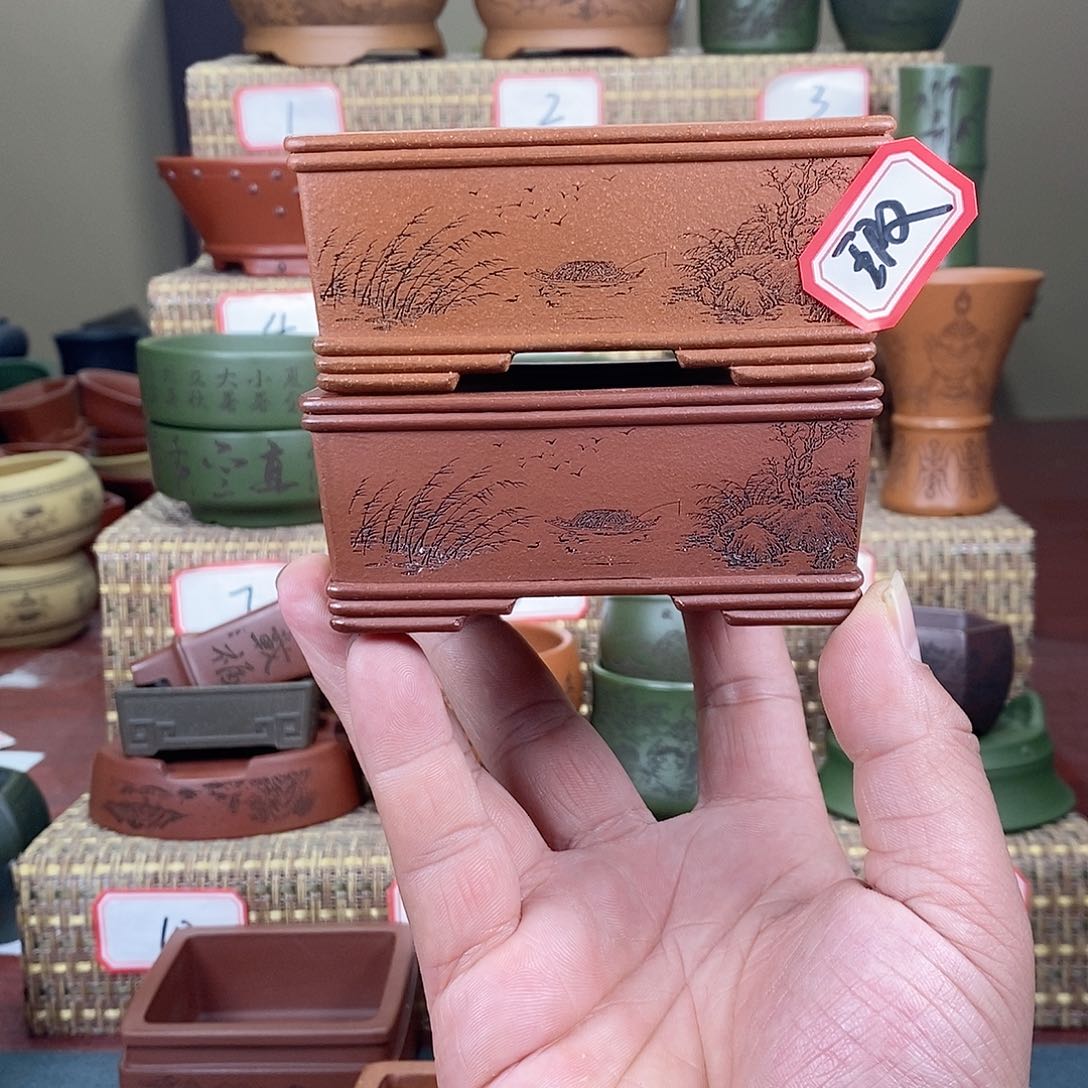 紫砂花盆我在等一