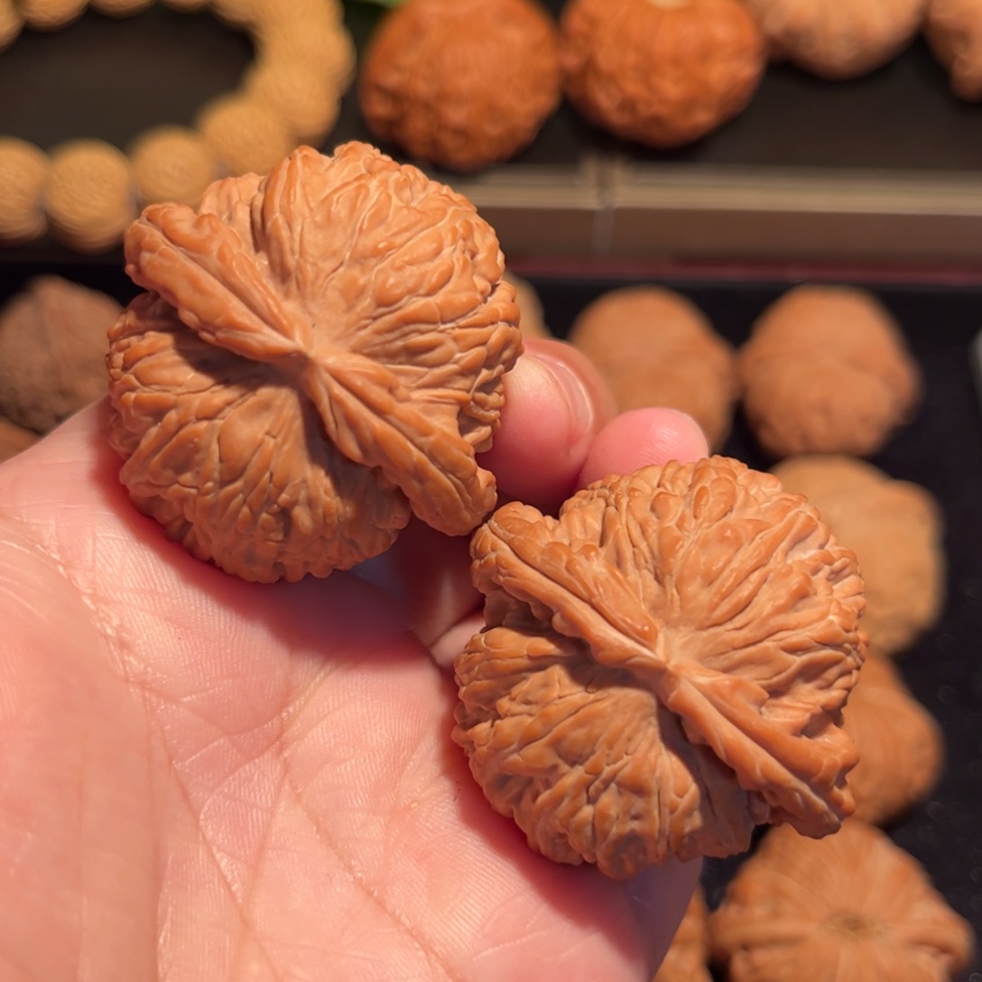 【闪购商品】文玩核桃把件白狮全品