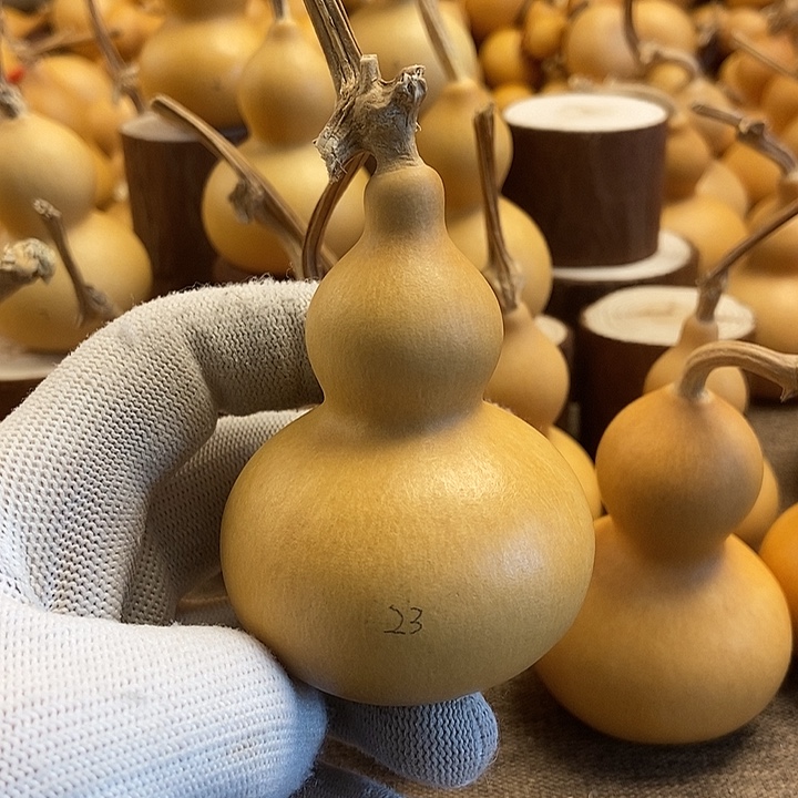 文玩葫芦 完美主义者 慎拍23