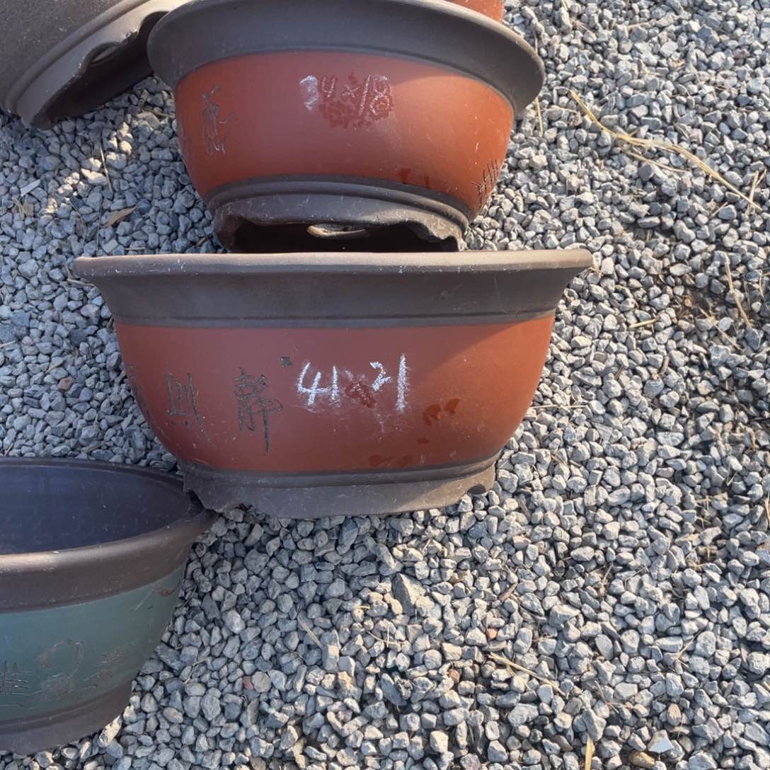 紫砂老*加深加厚碗盆 红 大号 四只