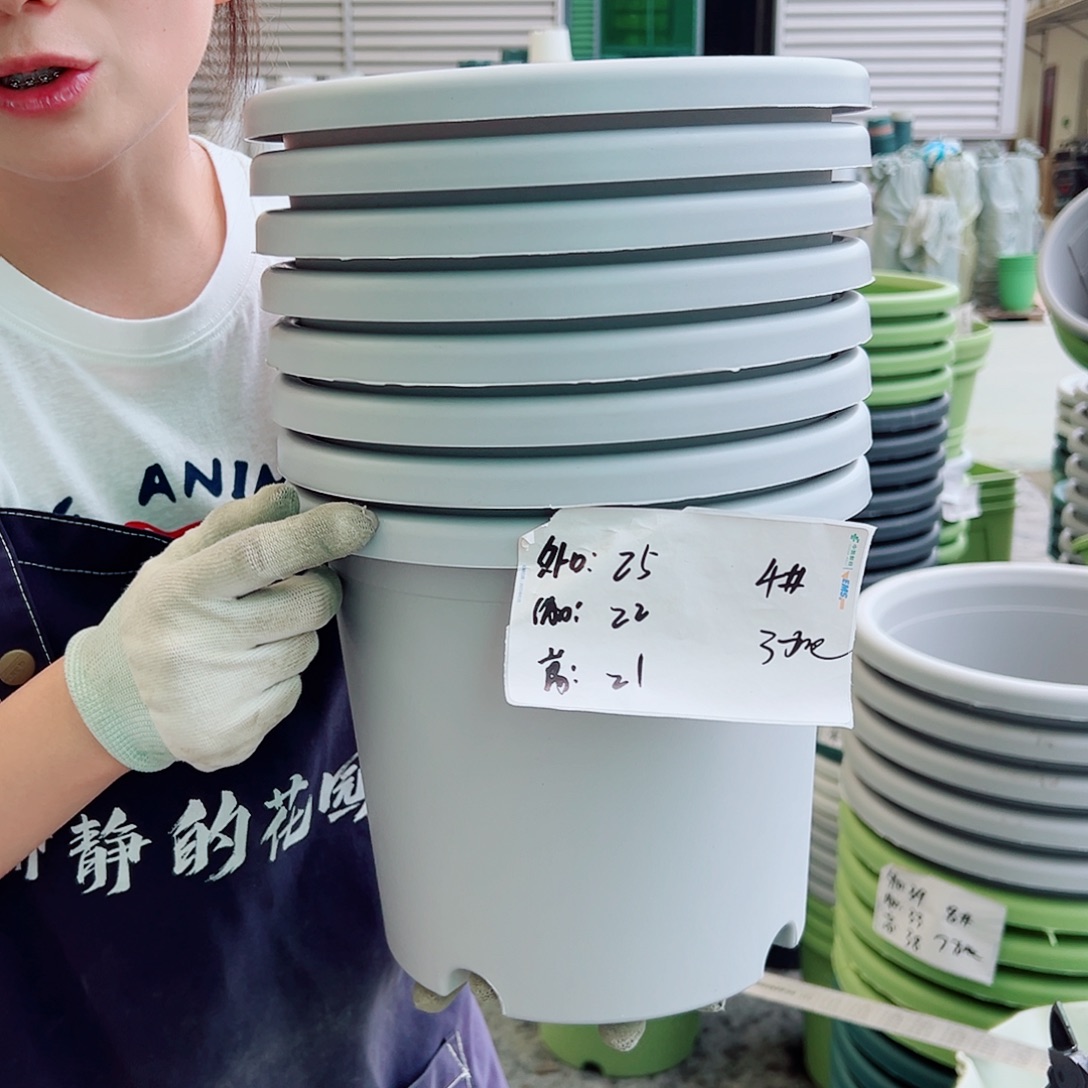 四季盆4#灰白8个无托