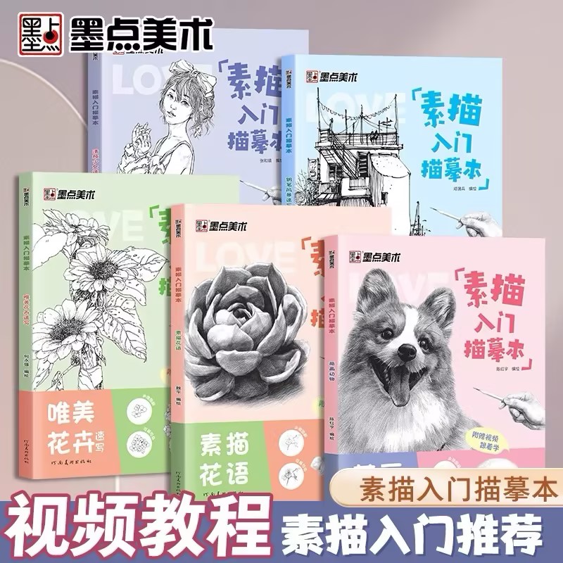 墨点素描入门临摹本零基础入门初学者临摹教材书视频教学静物花卉