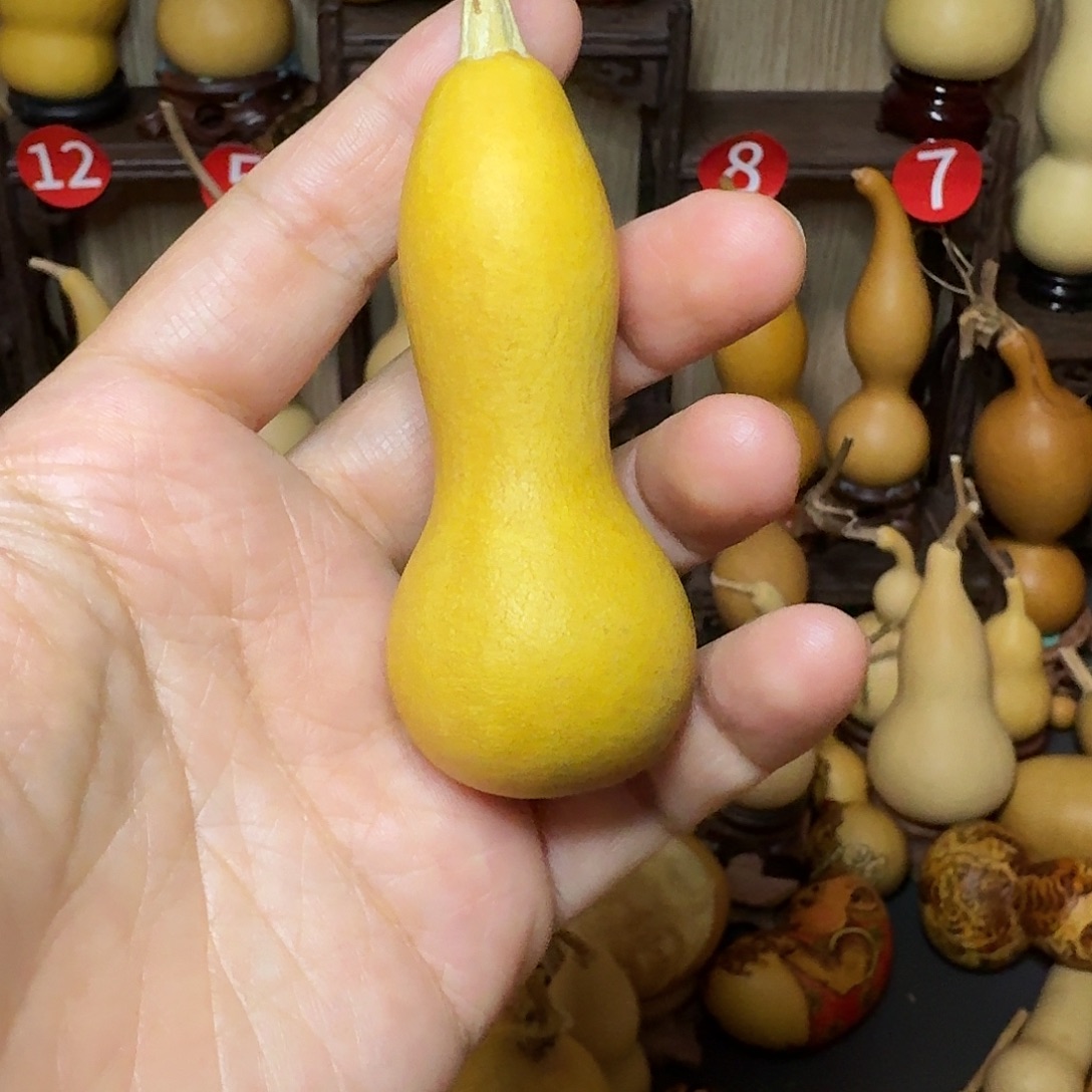 永***远香榧木162783993874684998877