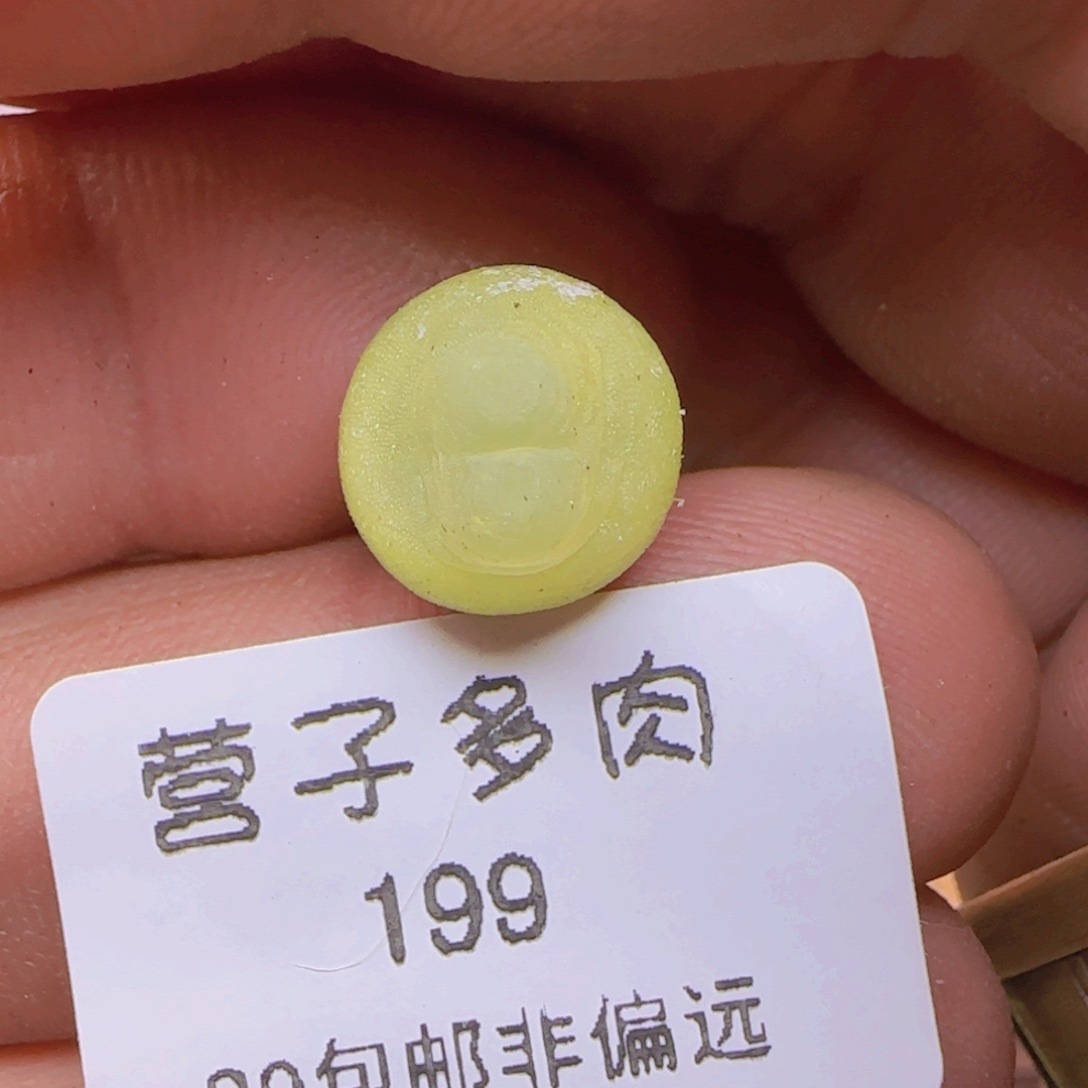 拉登1.2。              