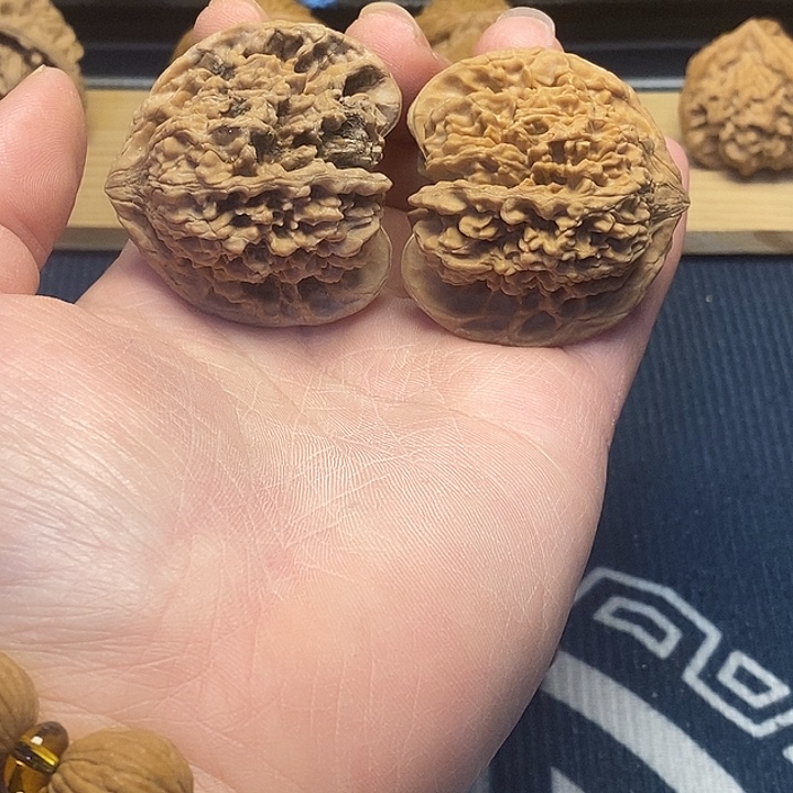 核桃44满天星全品福利