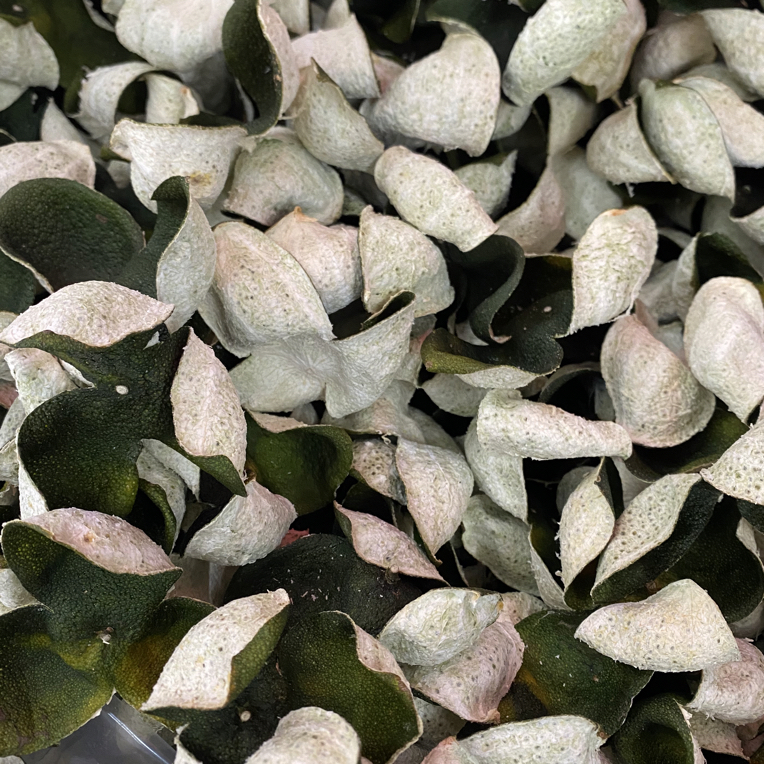 新会陈皮2025年天马圈枝大青皮