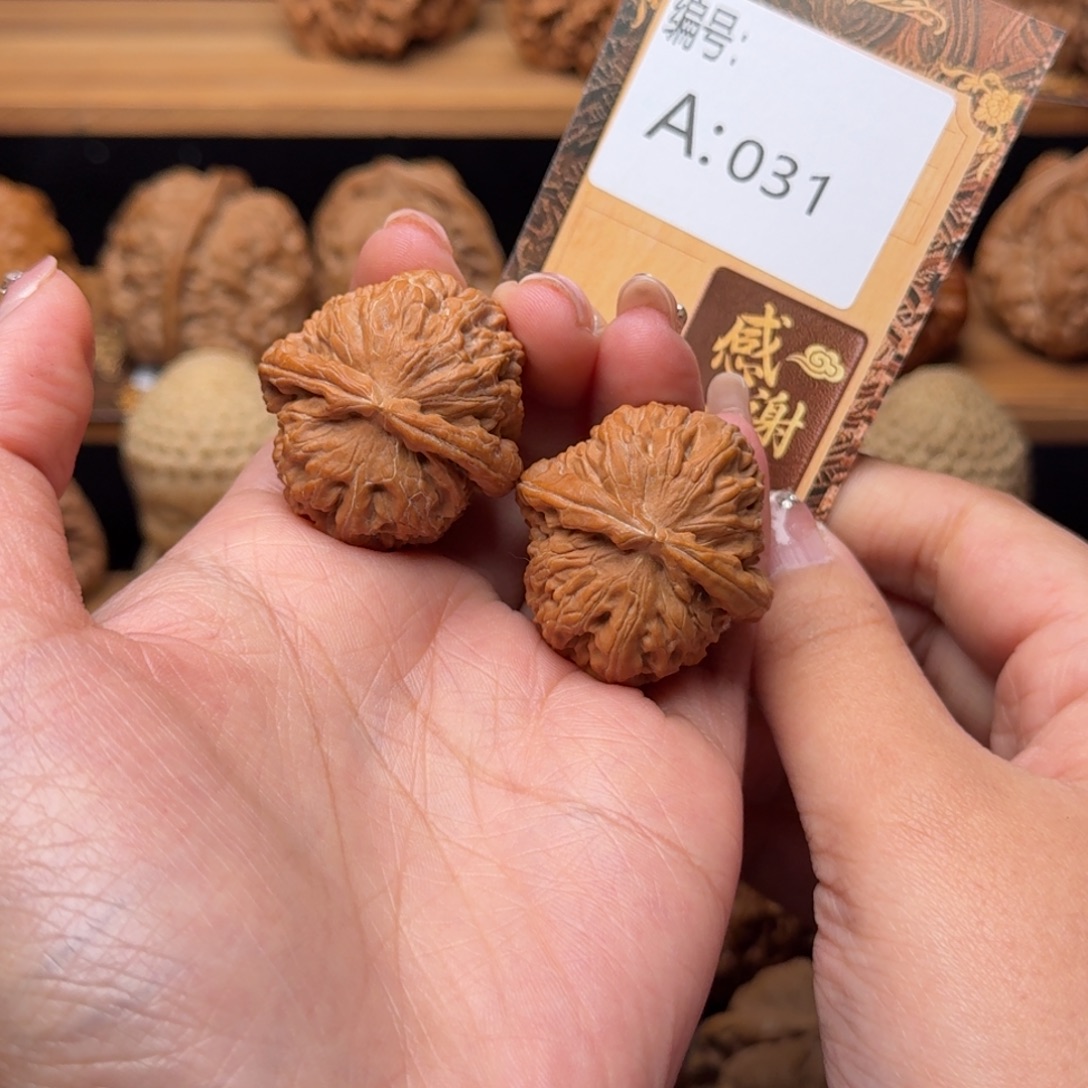 核桃a031白狮子3.3全品