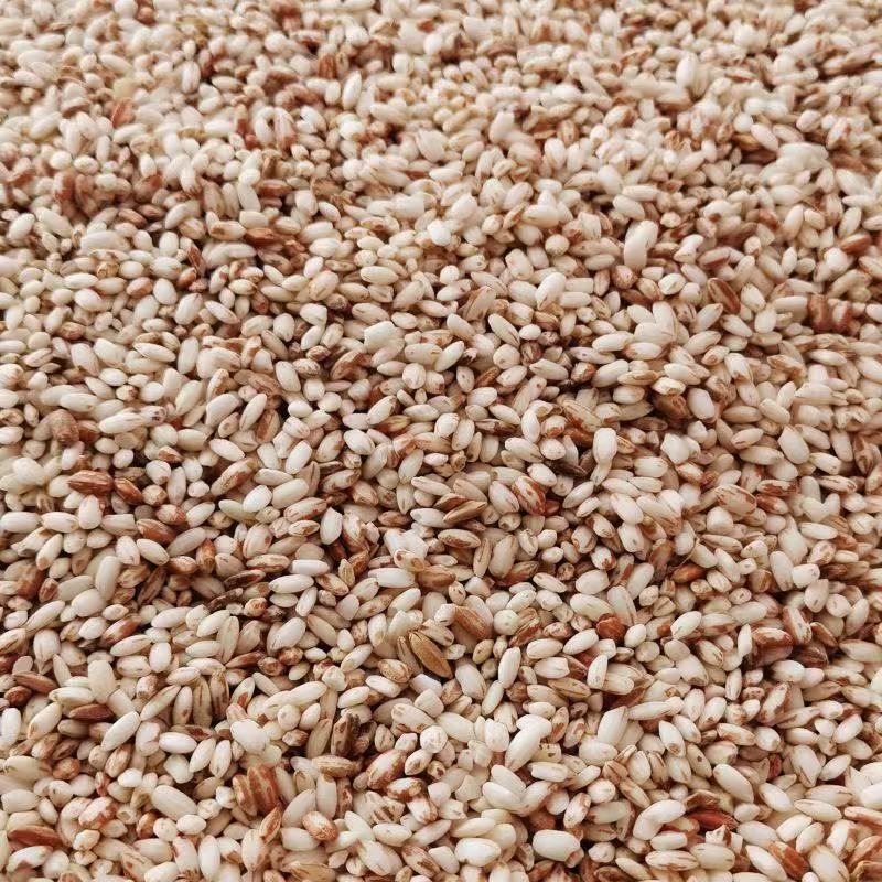 红糯米、农产品、土特产