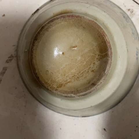 坐****饭z c x z z c x z c c