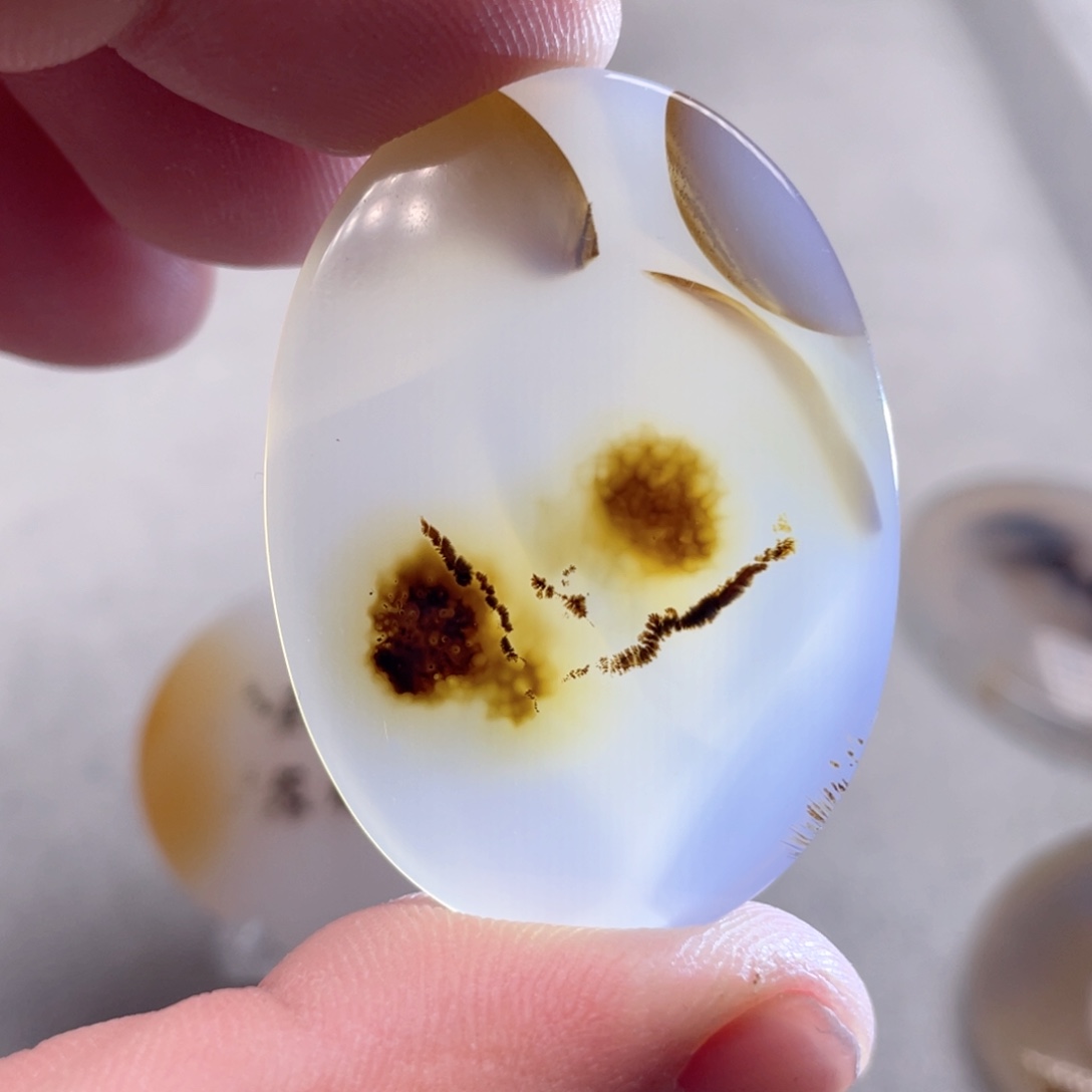 【闪购商品】玛瑙/玉髓颈饰合金