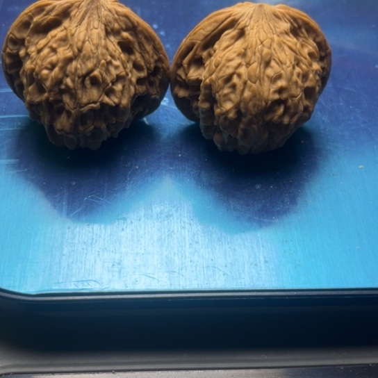 细***。银S9251234567890