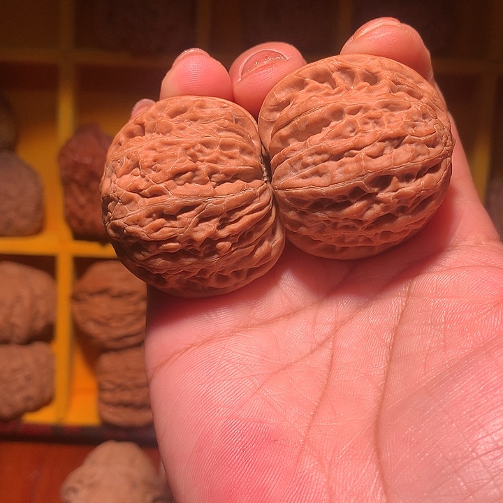 Q***n大叶紫檀（黑酸枝木类）